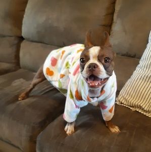 Meet your Posher, Elise